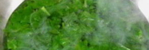 шпинат на зиму