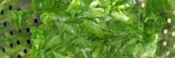 шпинат на зиму