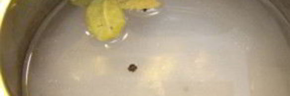 синенькие с морковкой на зиму