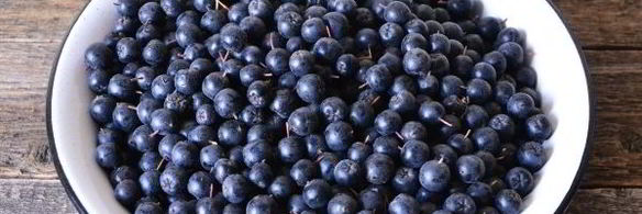 сок из черноплодной рябины на зиму