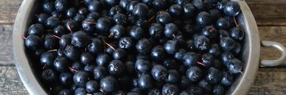 сок из черноплодной рябины на зиму