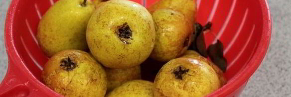 сок из груши на зиму