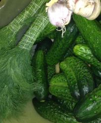 Быстрые малосольные огурцы