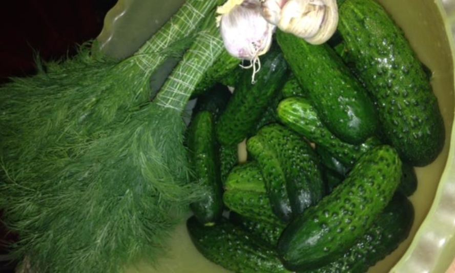 Рецепт быстрых малосольных огурцов