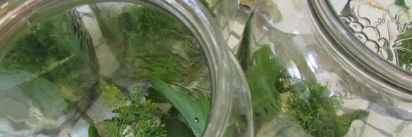 консервированные помидоры