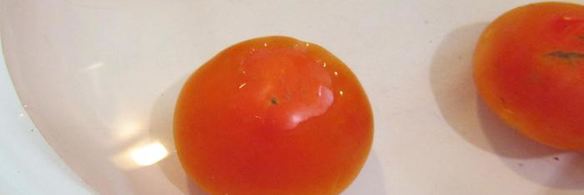 консервированные помидоры