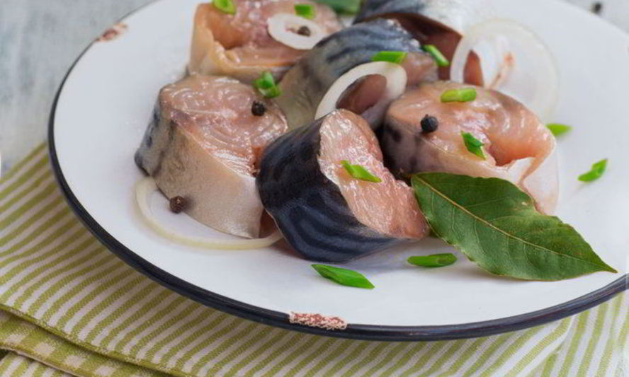 Рецепт малосольной скумбрии