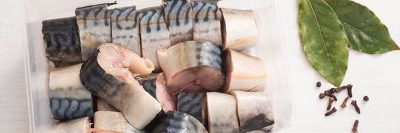 малосольная скумбрия