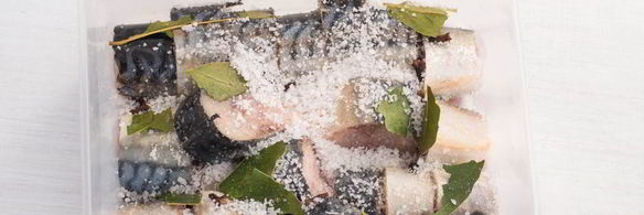 малосольная скумбрия