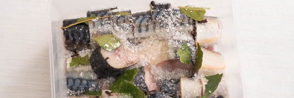 малосольная скумбрия