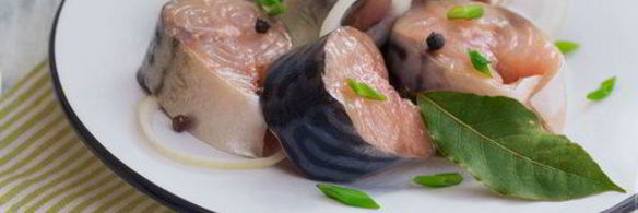 малосольная скумбрия