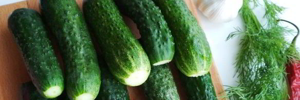 малосольные огурчики и кабачки