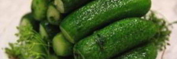 малосольные огурчики с чесноком