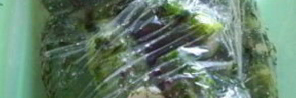 малосольные огурчики в пакете