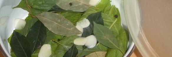 малосольные огурцы к обеду