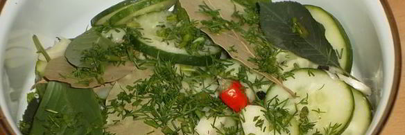 малосольные огурцы к обеду