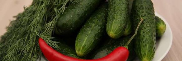 малосольные огурцы на минеральной воде