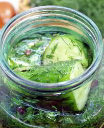 Малосольные огурцы в банке