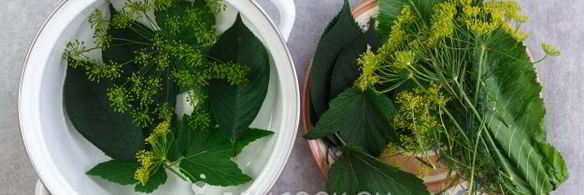 малосольные огурцы в кастрюле