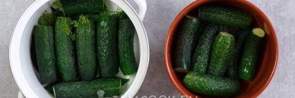 малосольные огурцы в кастрюле