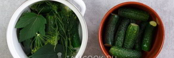 малосольные огурцы в кастрюле