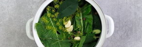 малосольные огурцы в кастрюле