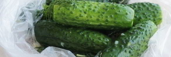 малосольные огурцы за час