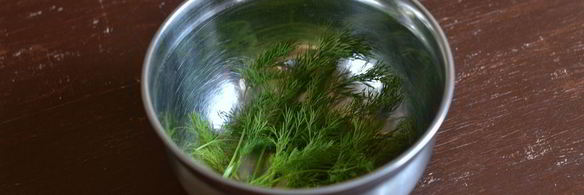 малосольные огурцы