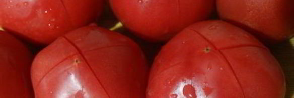 малосольные помидоры с зеленью