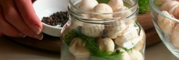 малосольные шампиньоны