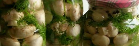 малосольные шампиньоны