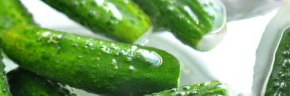 огурцы малосольные