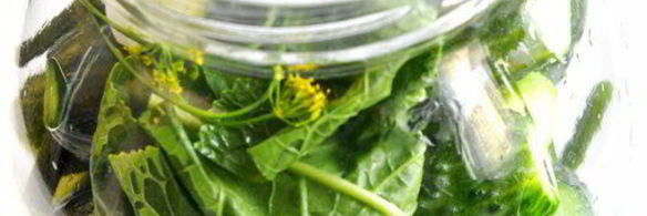 огурцы малосольные