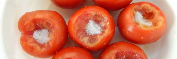 помидоры малосольные с чесноком