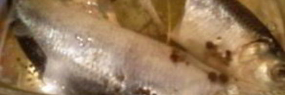 салака пряного посола