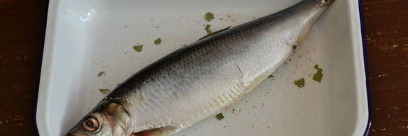 сельдь домашнего посола