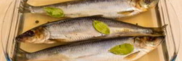 сельдь соленая