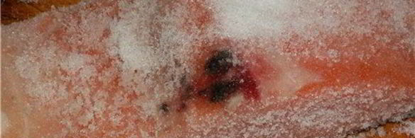 семга малосольная