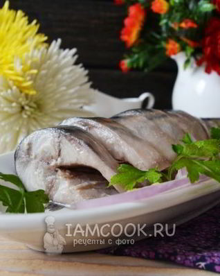 Скумбрия малосольная
