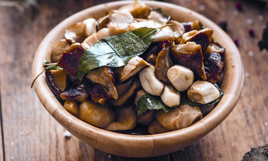 Рецепт соленых белых грибов