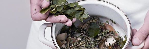 соленые белые грибы