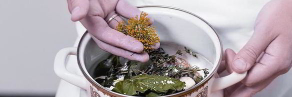 соленые белые грибы