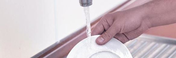 соленые белые грибы