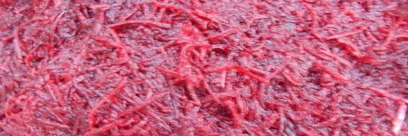 свекольный гравлакс — малосольный лосось