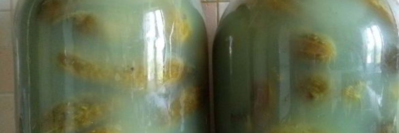 Соленые огурцы без уксуса на зиму