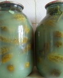 Соленые огурцы без уксуса на зиму