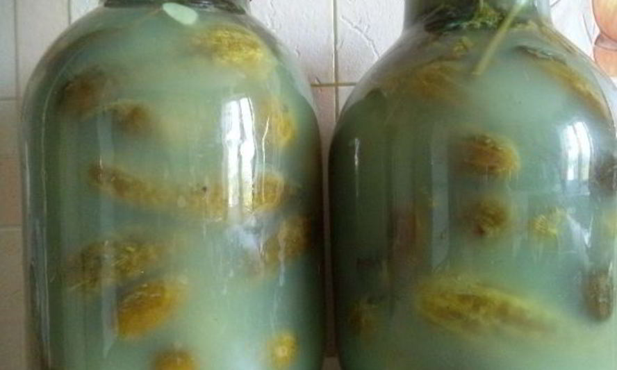 Рецепт соленых огурцов без уксуса на зиму