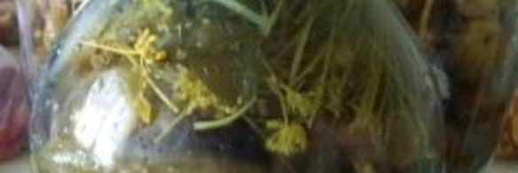 соленые огурцы без уксуса на зиму