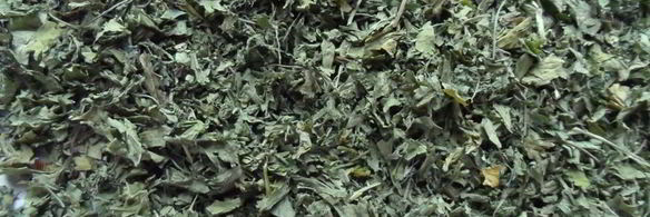 сушеная зелень на зиму