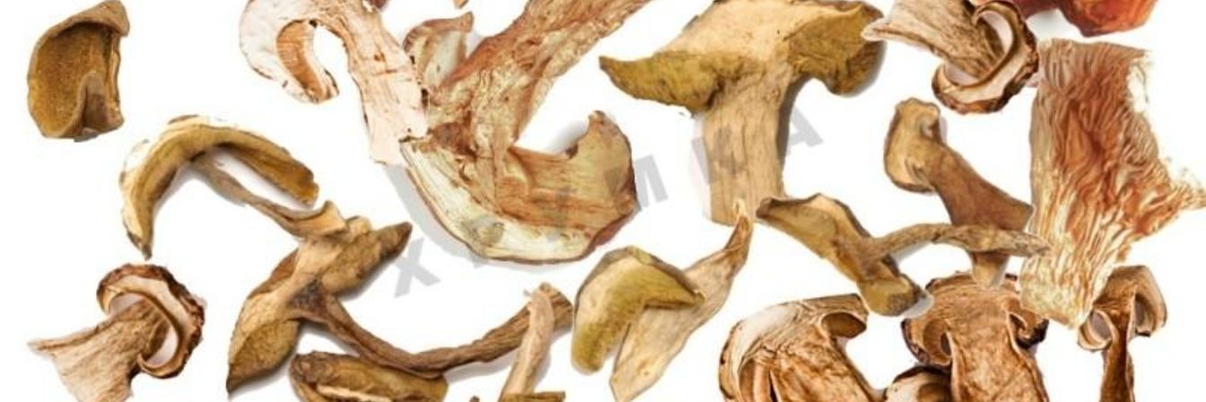 Сушка грибов в духовке